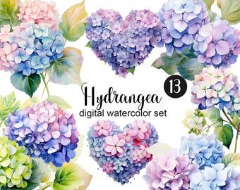 Watercolor hydrangea flowers, heart flowers, hydrangea bud, delicate flowers clipart png