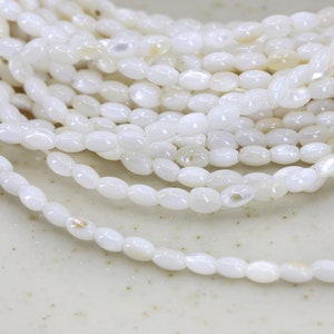 May include: A strand of white oval-shaped shell beads. The beads are smooth and have a slight iridescent sheen.