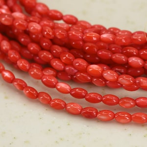 Può includere: Un filo di perline di corallo ovali di colore rosso vivo. Le perline sono infilate su un filo trasparente e sono disposte in un mucchio sciolto.
