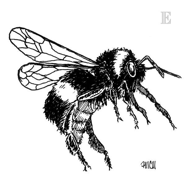 Bee Series Inks (5x7 Prints)