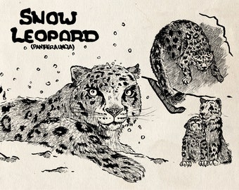 Snow Leopard Inks (5x7 Prints)