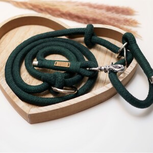 Set, Tauleine Dog, Tauhalsband, Retrieverleine, Dog leash made of cotton dew, Ivy Green image 4