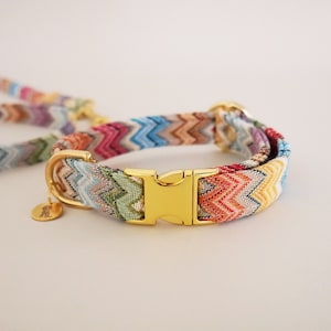 May include: A colorful dog collar with a chevron pattern in shades of blue, green, pink, and yellow. The collar has a gold metal buckle and a gold metal D-ring.