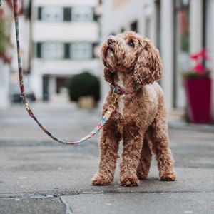 May include: A brown and white dog on a leash with a colorful patterned leash. The dog is looking up and has its mouth slightly open. The dog is standing on a gray sidewalk in front of a building.