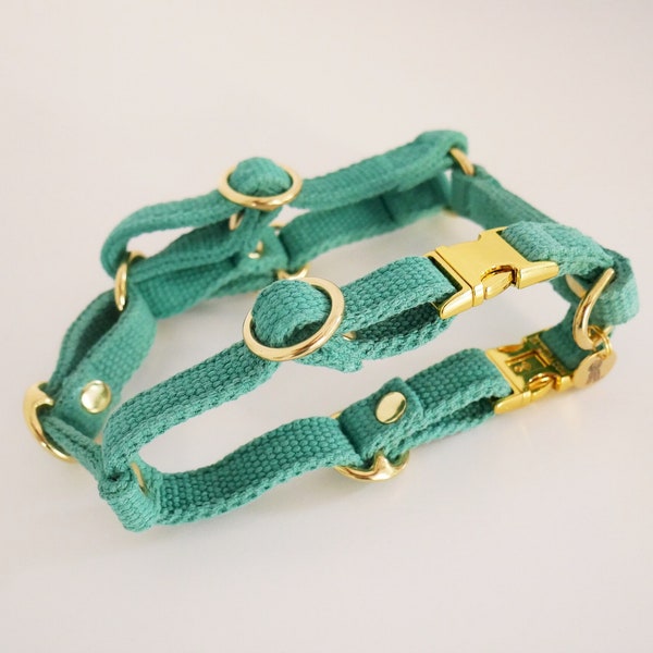 Dog harness -Mint- With additional buckle on the neck, harness dog