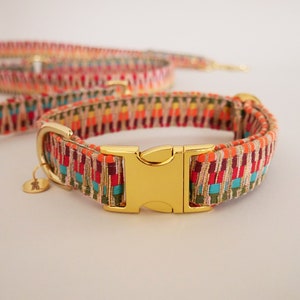 May include: A colorful woven dog collar with a gold buckle. The collar has a geometric pattern in shades of red, orange, yellow, green, and blue.