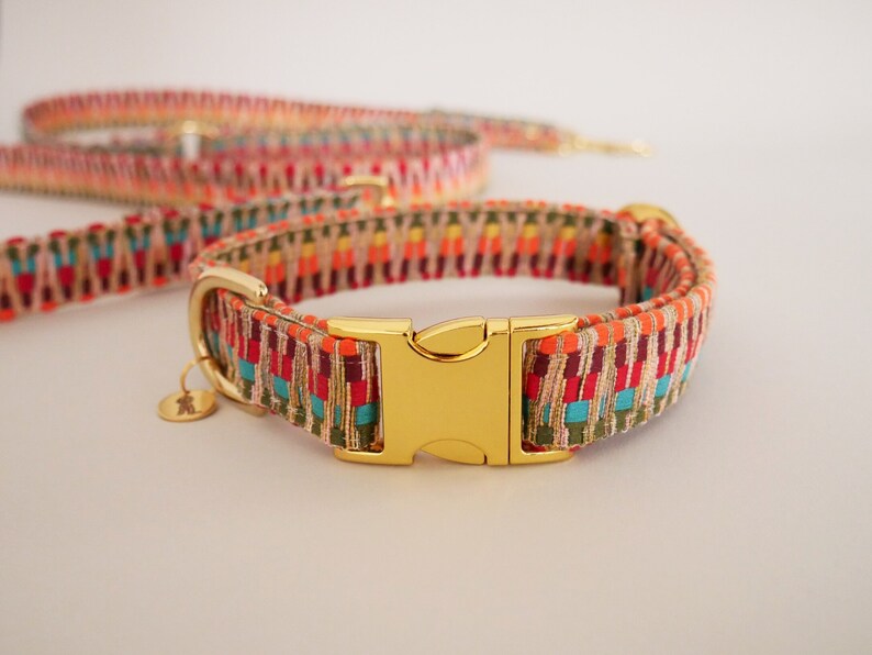 May include: A colorful woven dog collar with a gold buckle. The collar has a geometric pattern in shades of red, orange, yellow, green, and blue.