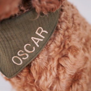 Personalizable dog scarf with name khaki green, muslin image 1