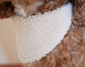 Bandana pour chien Cosy Teddy Beige Crème avec broderie avec nom