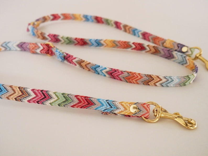 May include: A colorful zig-zag patterned dog leash with a gold metal clip.