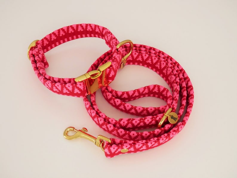 May include: A pink dog collar and leash set with a gold buckle and a gold tag that says "Woof".