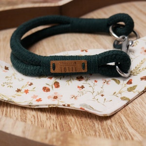 Tauhalsband, Tauleine Dog, Set, Retrieverleine, Dog leash made of cotton dew, Ivy green image 2