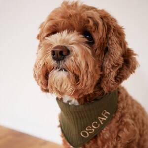 Personalisierbares Hundehalstuch mit Namen - Khaki grün, Musselin bild 4