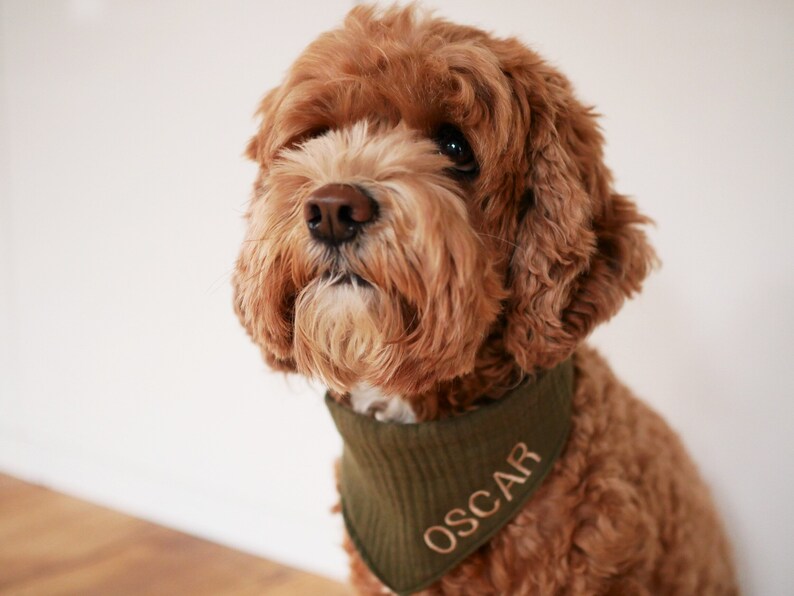 Personalisierbares Hundehalstuch mit Namen - Khaki grün, Musselin bild 4