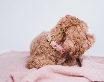 Cozy Teddy dog blanket, old rose