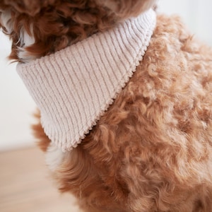 犬用バンダナ コーデュロイベージュ ネーム刺繍入り