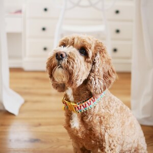 Colorful dog collar | Handmade dog collar | Adjustable | Dog accessory | Zigzag pattern image 2