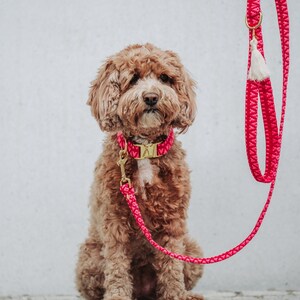 May include: A brown and white dog wearing a pink collar and leash. The leash is made of braided rope and has a gold clasp. The dog is sitting on a gray concrete surface.