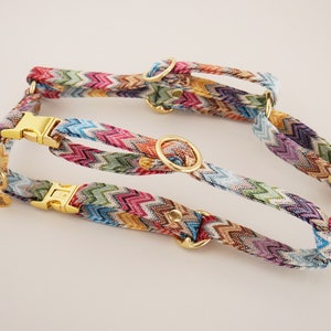 Dog harness Joyous Colorful, harness dog