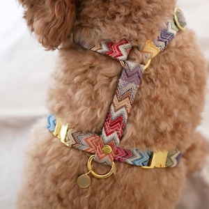 Harnais pour chien Joyous Colorful, Harnais pour chien