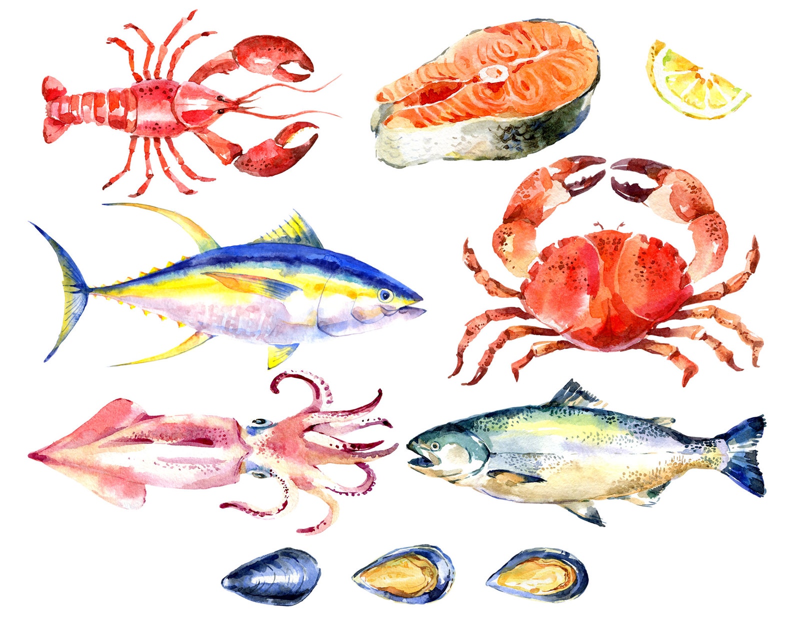 Watercolor seafood clipart nautical clipart shrimp png | Etsy