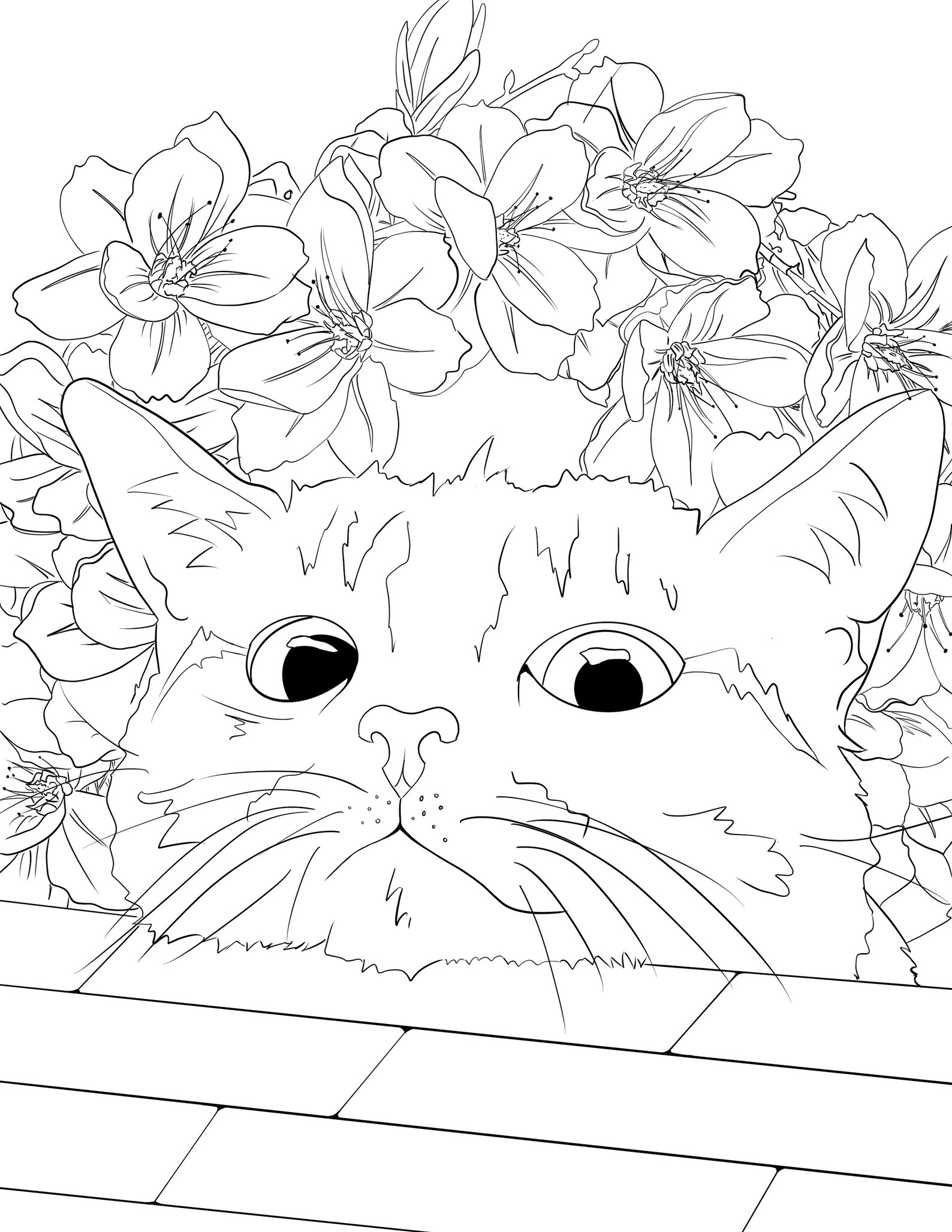 Cat Floral Coloring Pages for Adults and Kids Etsy