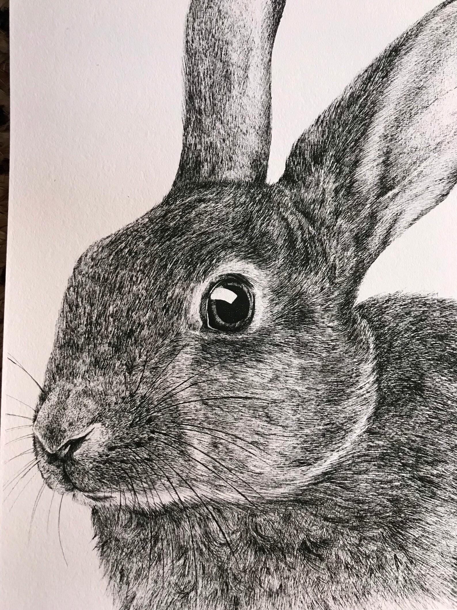 Bunny Rabbit Print - Black and White Art - Etsy