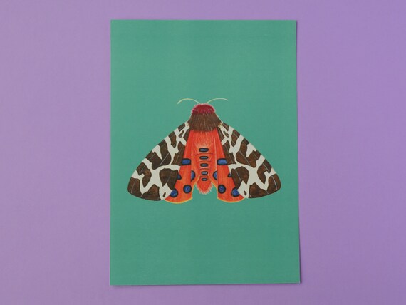 Garden Tiger Moth Art Print – Insect Art Print – Nature Art Print – Unframed A4 size