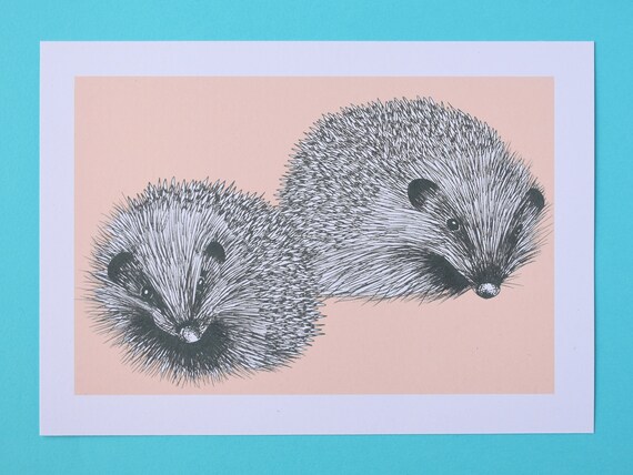 Hedgehog Pair Art Print, coloured background – Mammal Art Print – Nature Art Print – Unframed A5/A4 size