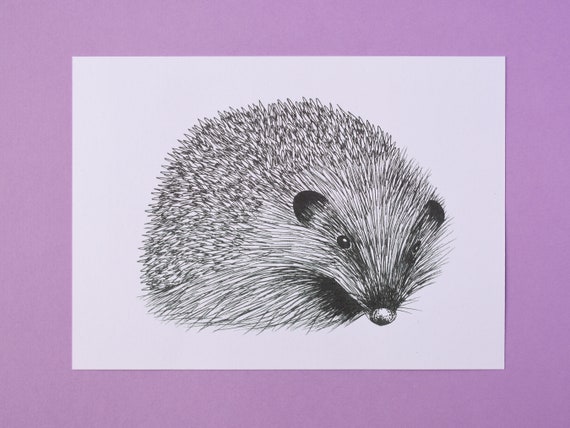Large Hedgehog Art Print, black and white – Mammal Art Print – Nature Art Print – Unframed A5 size