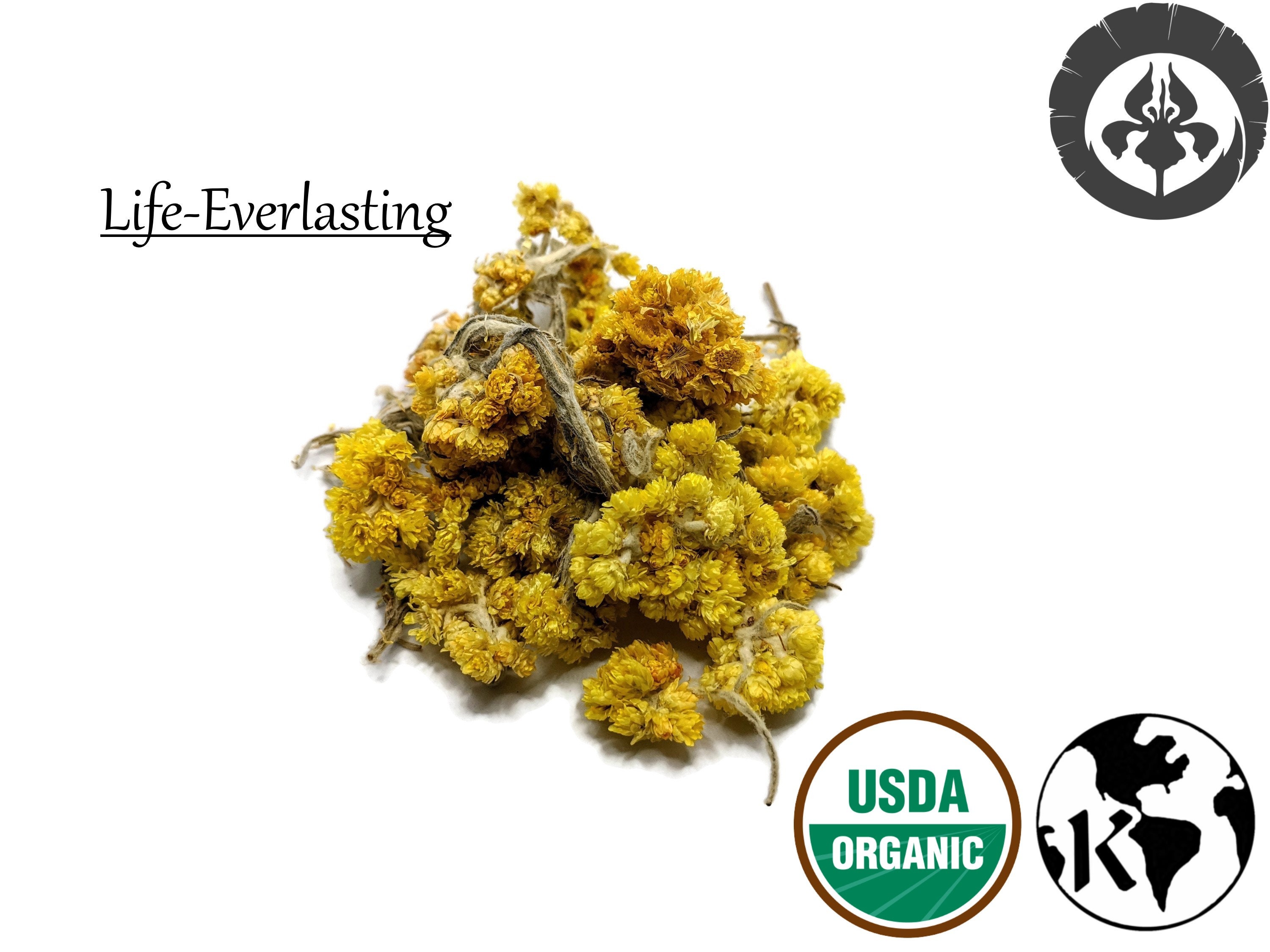 Health Sachet Herbal Blend Healing and Protection Spell Etsy