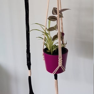 May include: Two macrame plant hangers with wooden rings. One is black, the other is beige, both with tassels. A magenta pot holds a green and purple plant in the beige hanger. A white wall is in the background.
