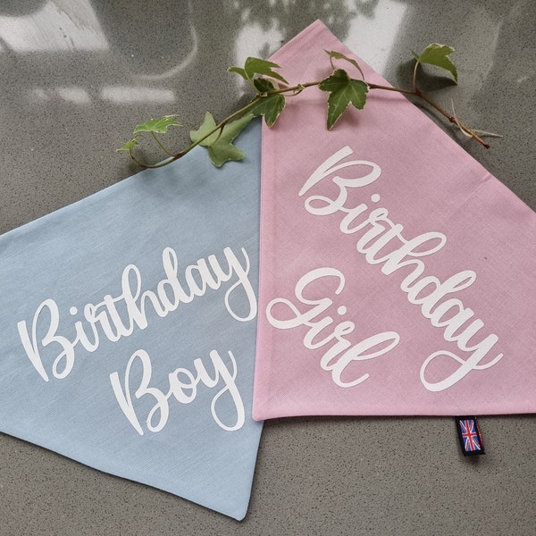 Birthday Boy/Birthday Girl over the collar Dog Bandana, Dog Birthday Bandana, Dog Lover Gift, Dog Gift, Gift for her