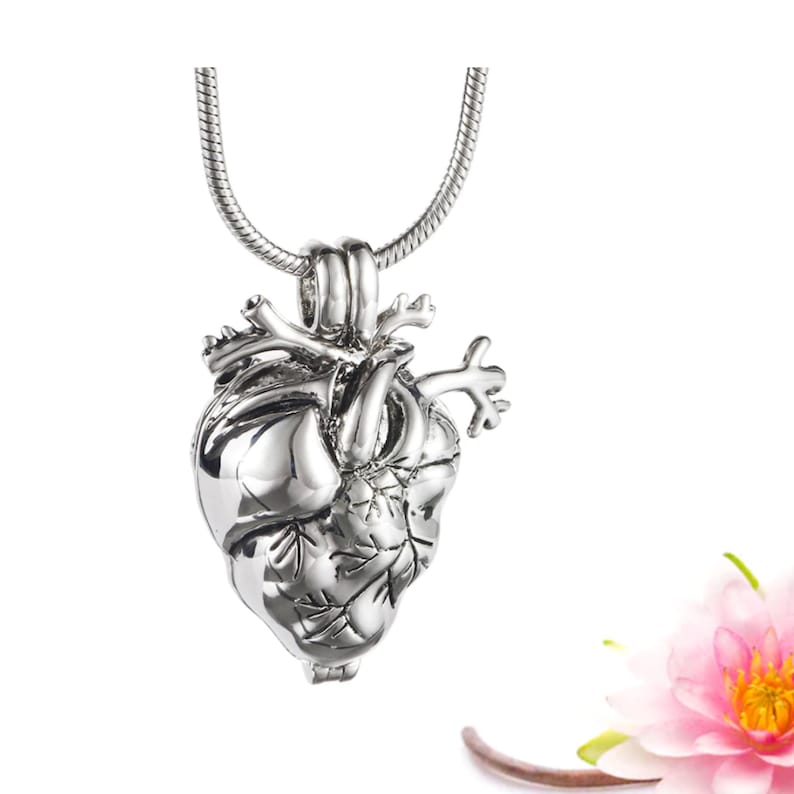 May include: A silver anatomical heart pendant necklace. The heart is detailed with veins and arteries. The necklace is on a silver chain.