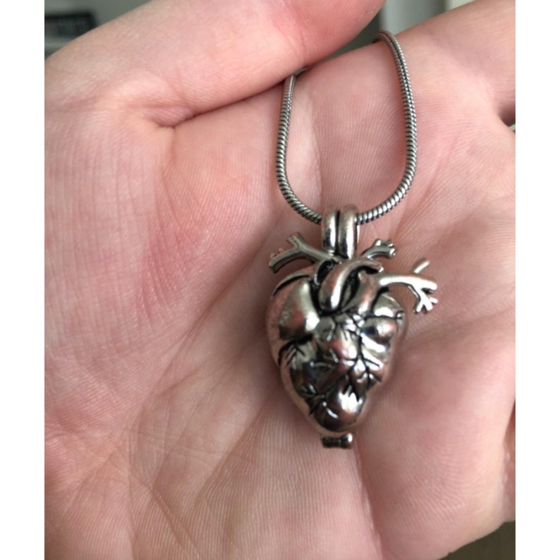 May include: A silver necklace with a detailed anatomical heart pendant.