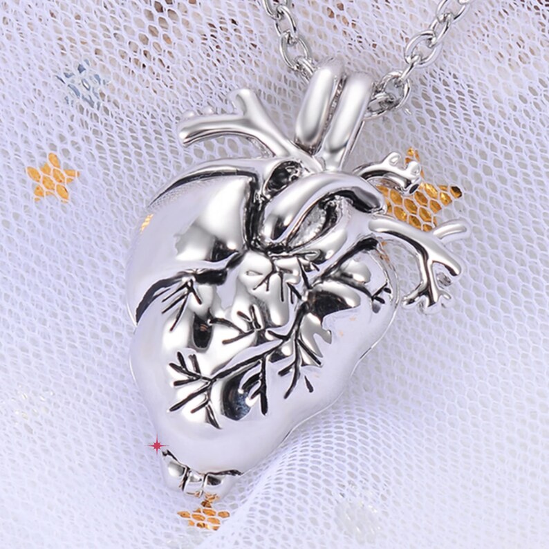 May include: Silver anatomical heart pendant necklace. The heart is detailed with veins and arteries. The necklace is on a white background.