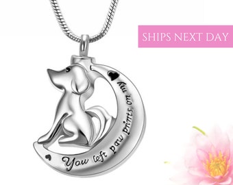 Urn Necklace | Pet Memorial Jewelry | Pet Ashes Jewelry Keepsake | Dog Memorial Gift | Pet Sympathy Gift | Paw Necklace | Dog Ashes Necklace