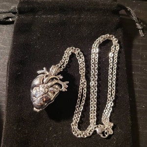 May include: A silver anatomical heart pendant necklace on a silver chain. The heart is detailed and realistic, with visible veins and chambers. The chain is a delicate, linked style.