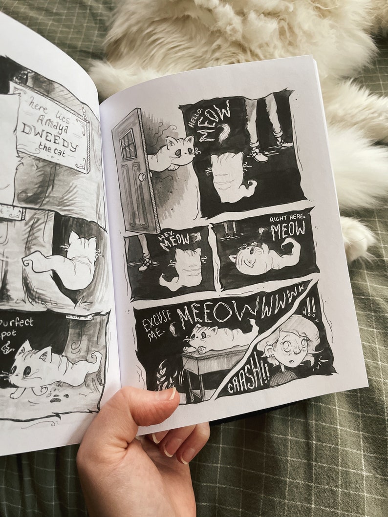 Dweedy: The Imagined Adventures of my Deceased Cat Comic Dooney Press printed edition Graphic Novel / Indie / Zine / Spooky image 3