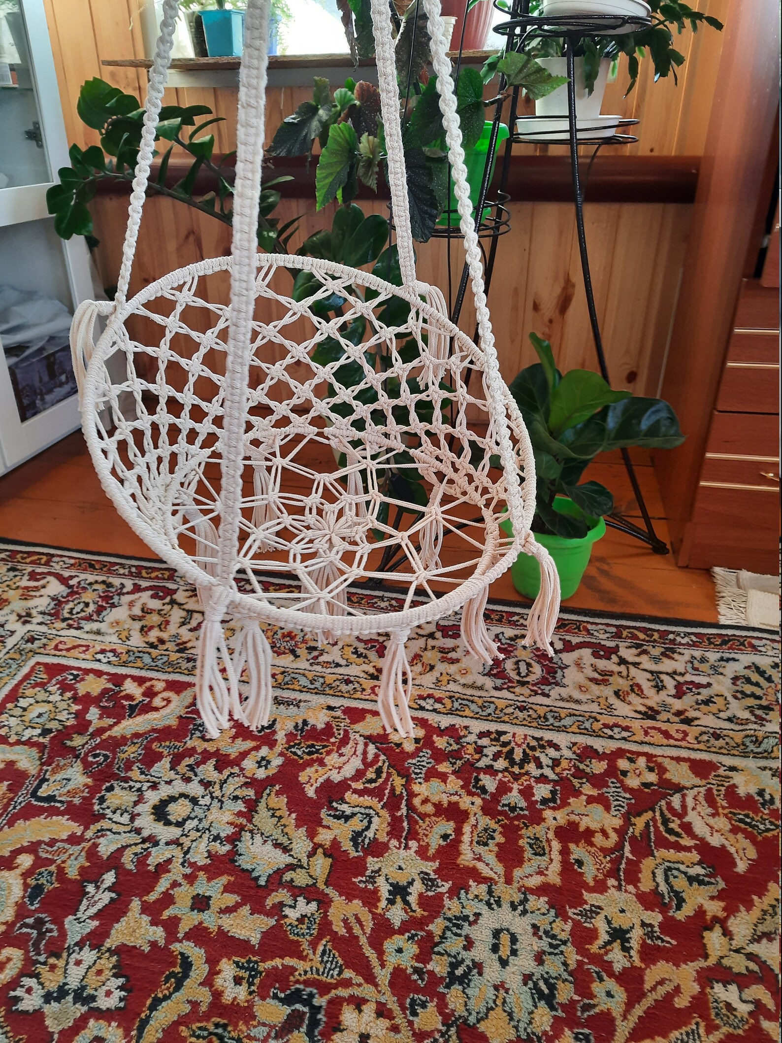 Cat hammock Round cat hanging chair with mat cat shelves | Etsy