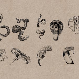 May include: A collection of detailed black and white illustrations of various snakes on a tan background. The images include coiled snakes, snake heads with open mouths, and a cobra with its hood expanded.