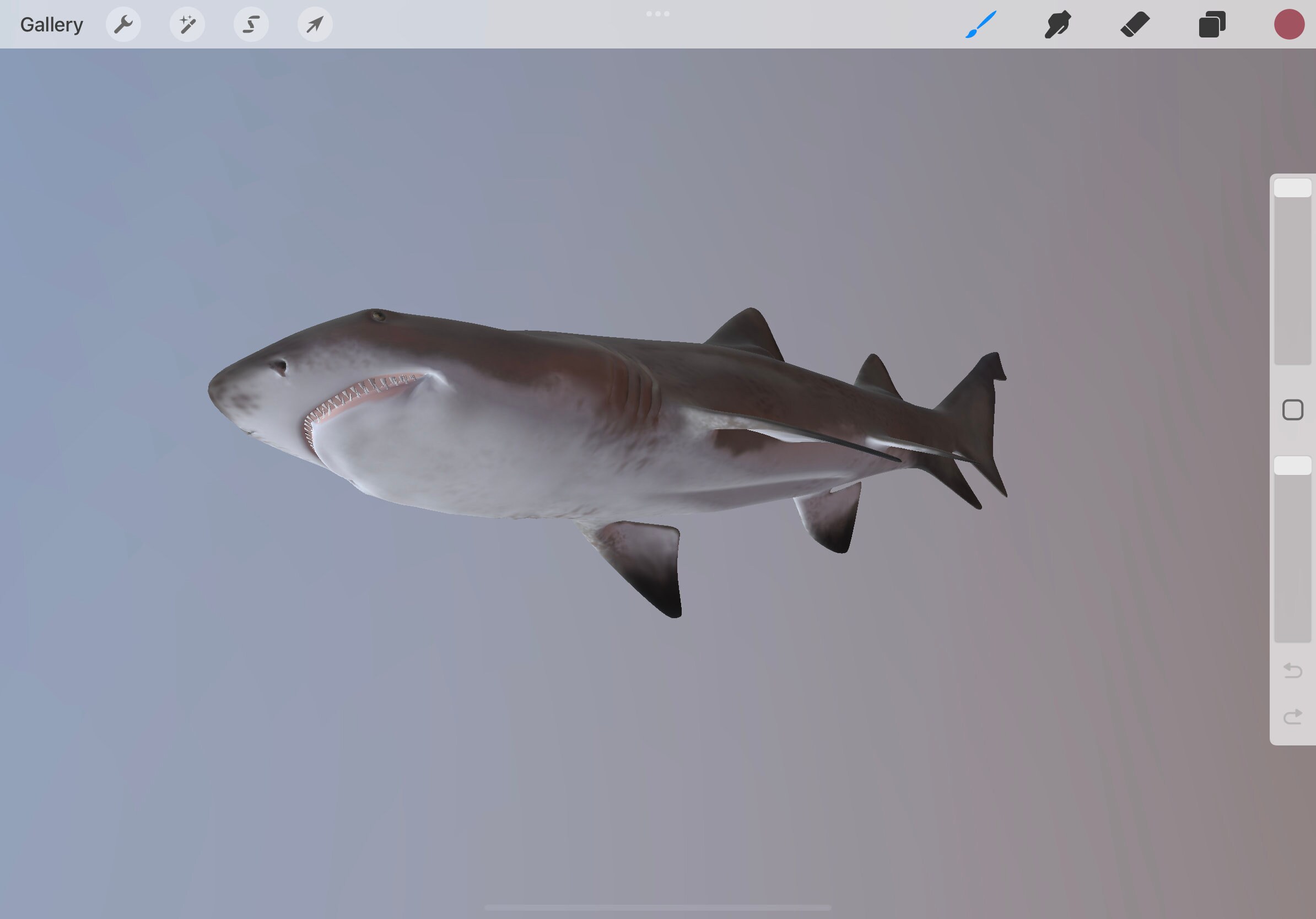 Procreate 3D Object Shark Model Tattoo Brush Textured Practice - Etsy