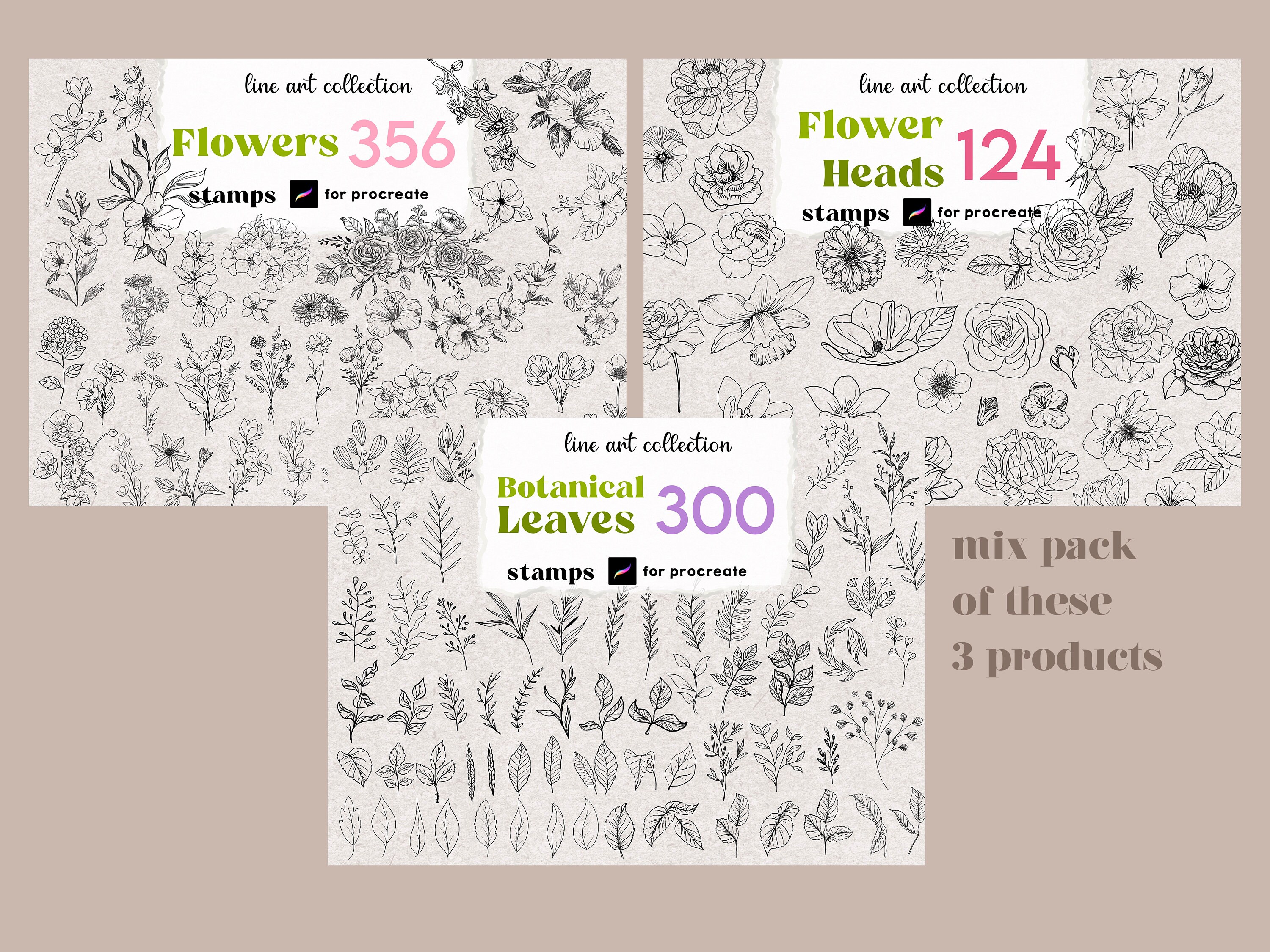 Procreate Botanical Stamps : 780 Floral Line Art XL Pack Rose Leaf ...