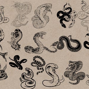 May include: A collection of black and white snake illustrations in various poses, including cobras and other species. The drawings feature detailed scales and open mouths, set against a neutral background.