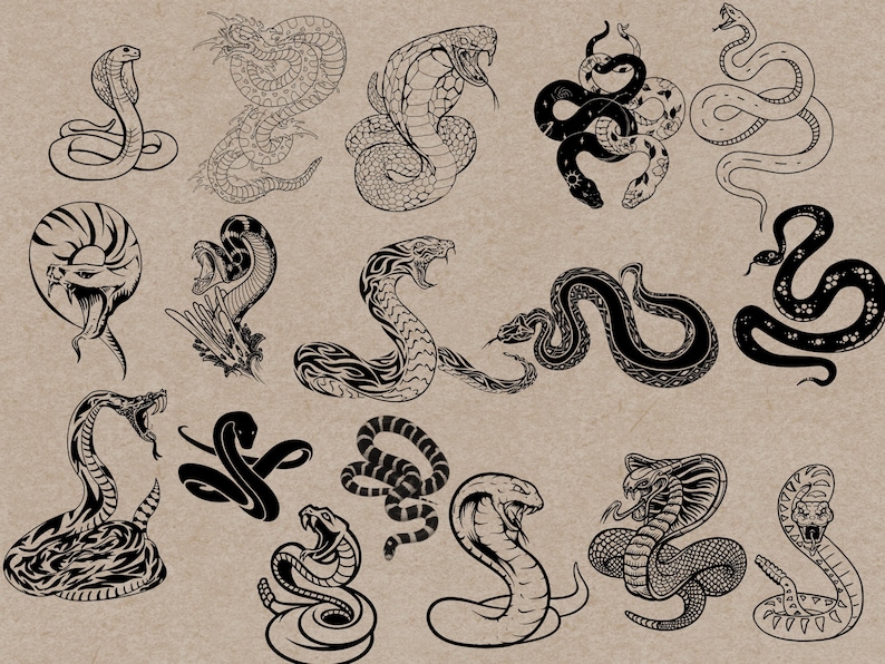 May include: A collection of black and white snake illustrations in various poses, including cobras and other species. The drawings feature detailed scales and open mouths, set against a neutral background.