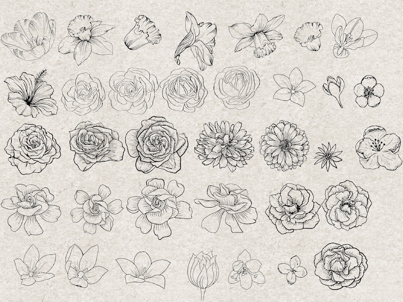 Procreate Flower Stamps : Tattoo Design Floral Brush Rose Peony Line ...