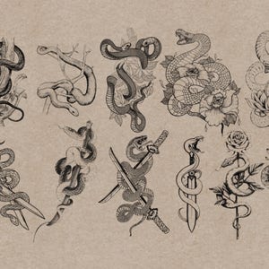 May include: A collection of detailed black and white illustrations of snakes in various poses. Some snakes are coiled around objects like flowers, swords, and scissors. The artwork has a vintage, tattoo-inspired aesthetic.
