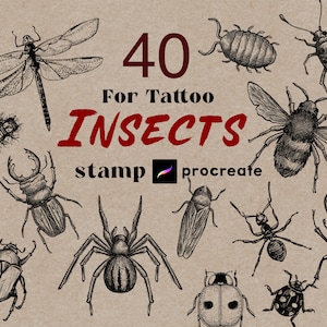 Procreate Insect Stamps 40 Procreate Tattoo Pack Vintage Spider Bug Bugs Butterfly Procreate insects pro create beginner tattoo collection