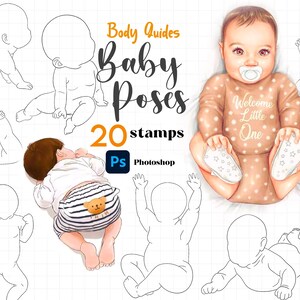 Photoshop Baby Guide Stamp Brush 20 Procreate Baby Body Guides Baby Drawing Babies Anatomy Body Photoshop Character Figure Adobe Ps Babies