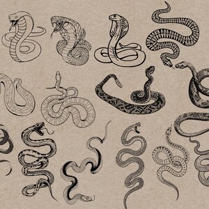 May include: A collection of black and white snake illustrations in various poses, including cobras and coiled serpents. The drawings showcase detailed patterns and textures, set against a neutral background, suitable for wall art or design projects.